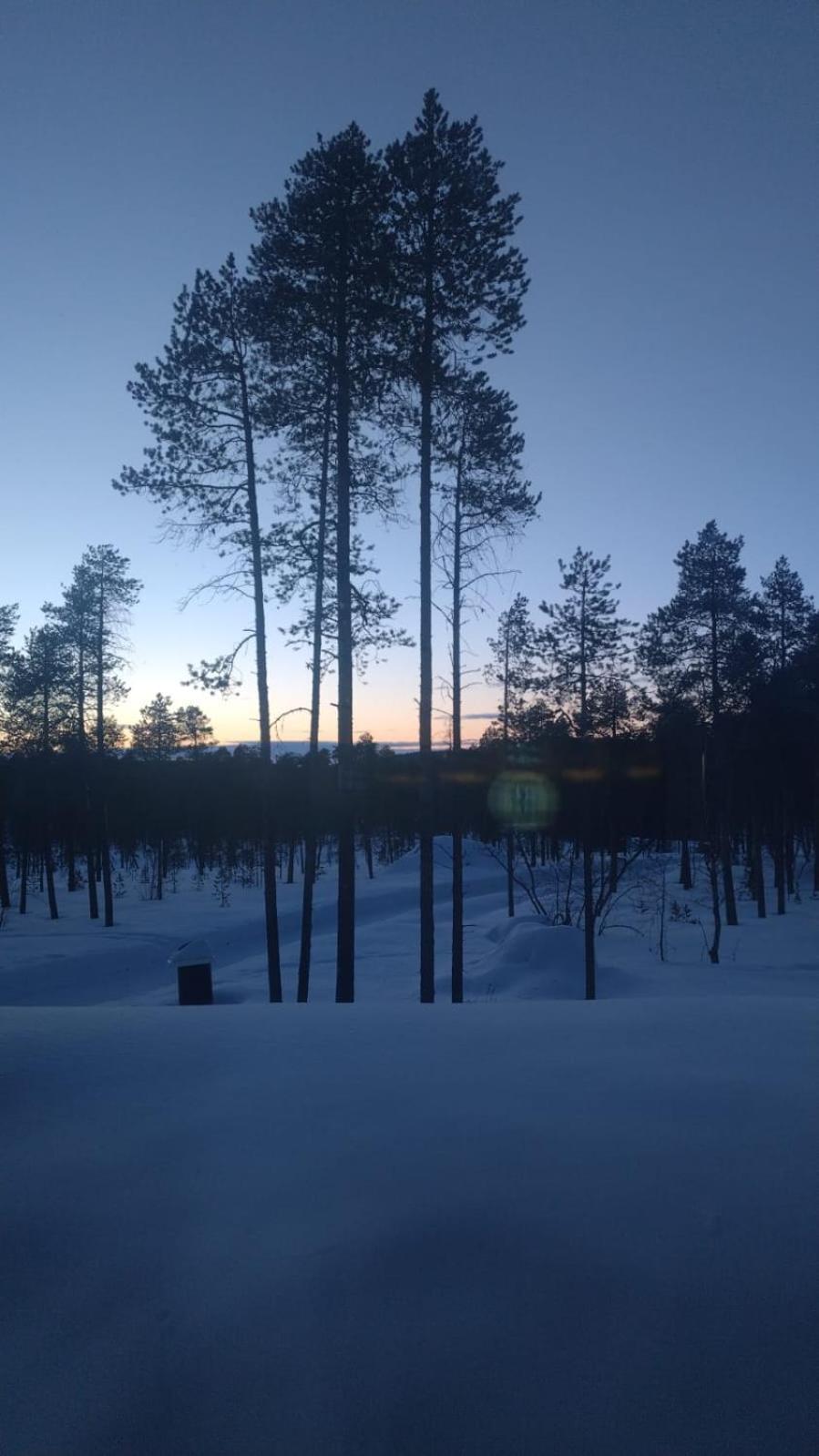 Villa Lusma Inari Buitenkant foto